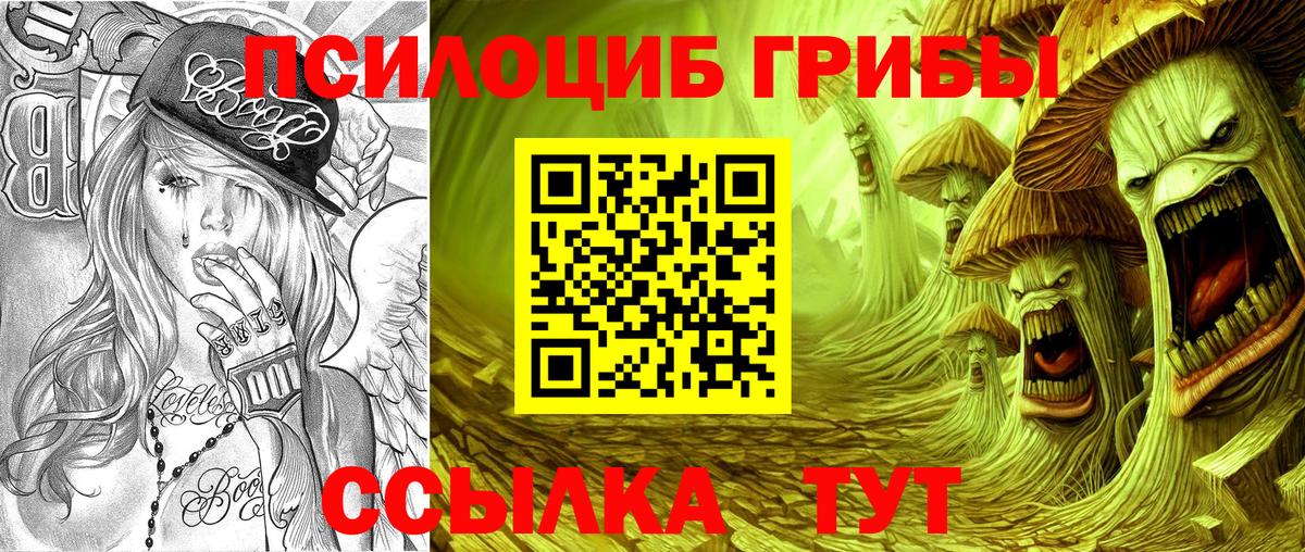 Псилоцибиновые грибы мухоморы Альметьевск