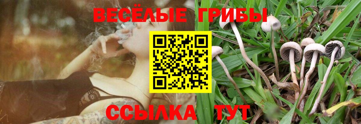 Псилоцибиновые грибы Psilocybine cubensis  Псилоцибиновые грибы MAGIC MUSHROOMS  Вход с VPN  Альметьевск 